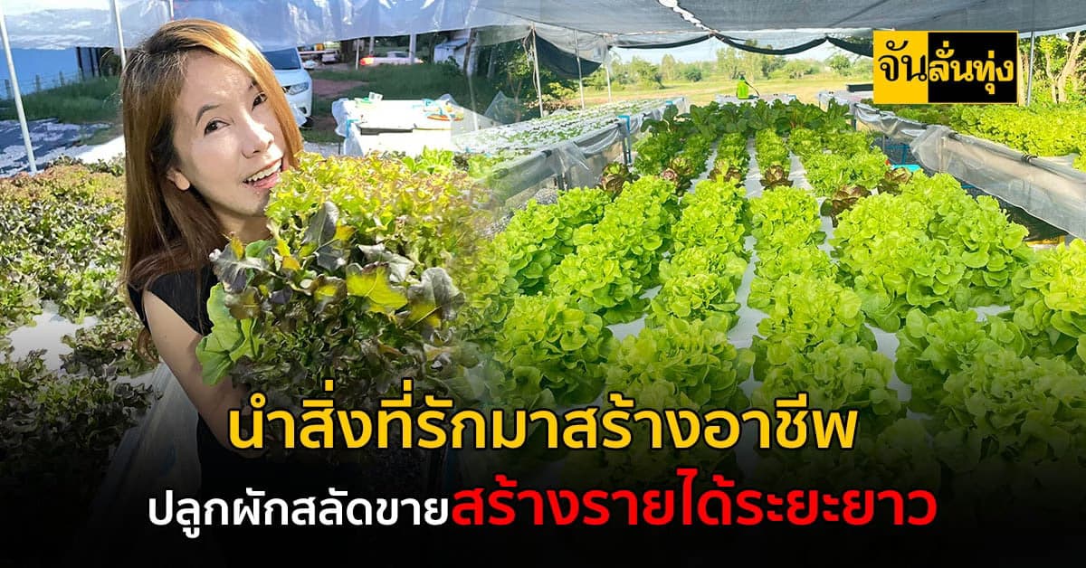 จากการชอบทานผักสลัด สู่อาชีพเสริมที่หารายได้หลักหมื่นต่อเดือน