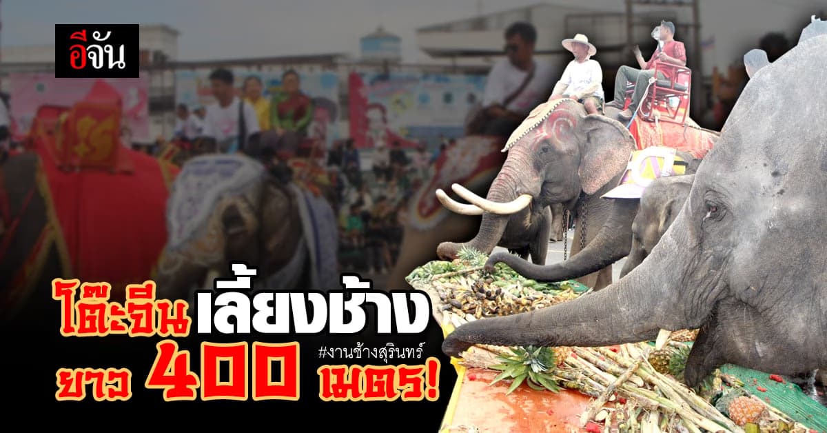 งานช้างสุรินทร์ จัดใหญ่! โต๊ะจีนเลี้ยงช้าง 22 ตัน ยาว 400 เมตร