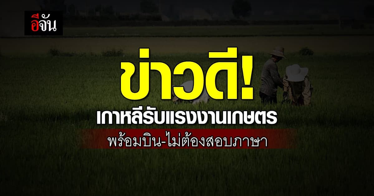 ข่าวดี! เกาหลีรับแรงงานภาคเกษตร บินถูกกฎหมาย-ไม่ต้องสอบภาษา