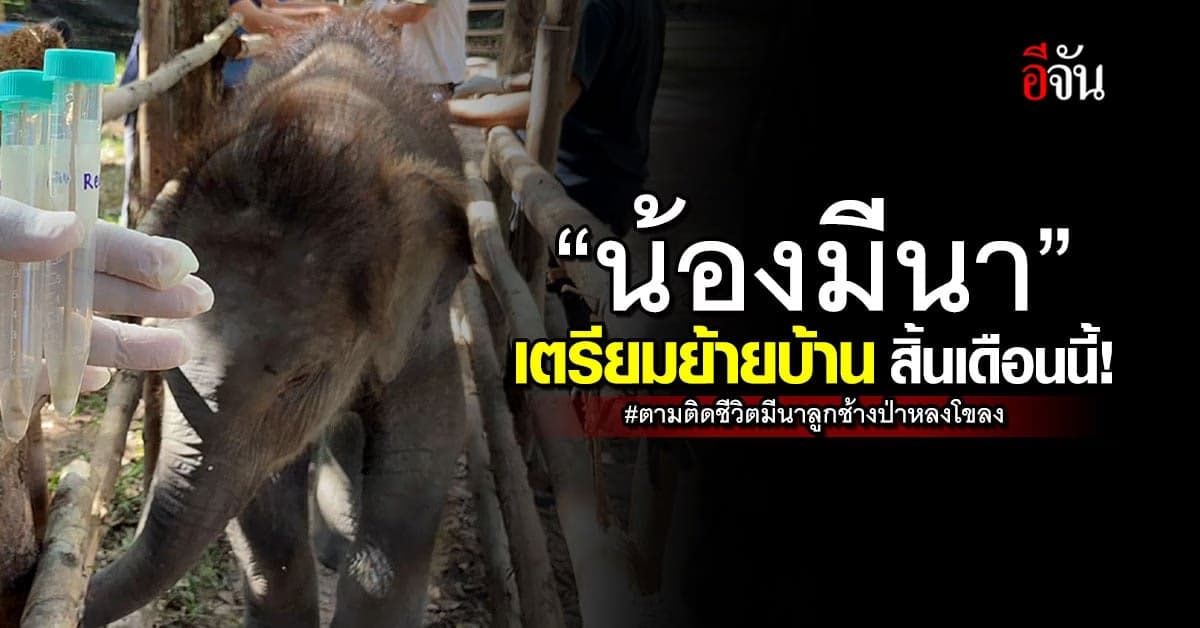 หมอดูแลใกล้ชิด! “น้องมีนา” เตรียมย้ายบ้าน สิ้นเดือนนี้