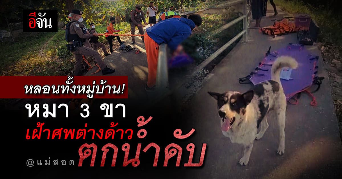 ทั้งงงทั้งหลอน หมา 3 ขา เฝ้าศพ หนุ่มเมียนมา ปริศนา ตกน้ำดับ