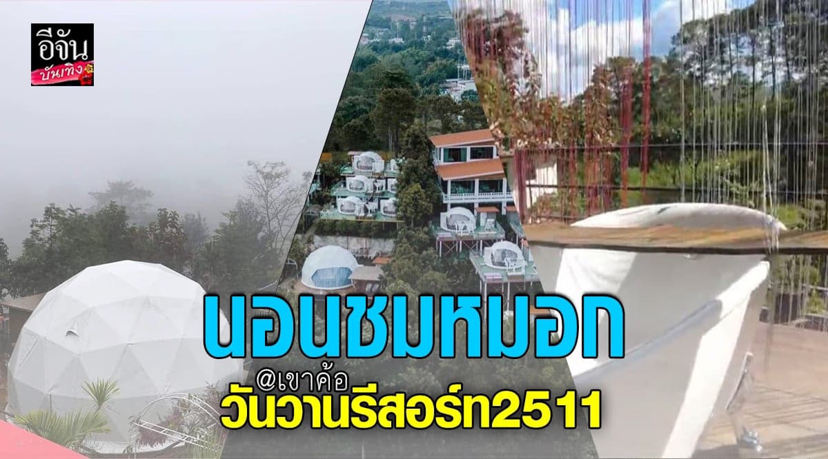 หนาวแล้ว ไปนอนเต้นท์ขาว กันที่ เขาค้อ วันวาน รีสอร์ท 2511 รับรองติดใจ