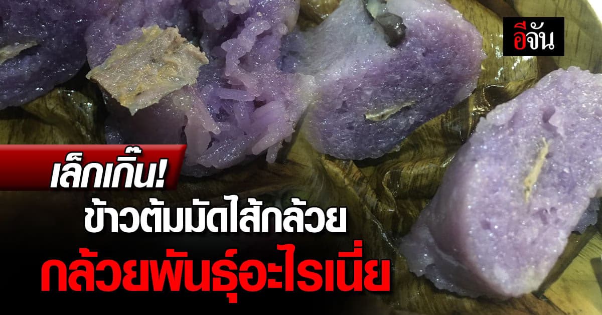 เล็กเกิ๊น! ข้าวต้มมัดไส้กล้วย กล้วยพันธุ์อะไรเนี่ย