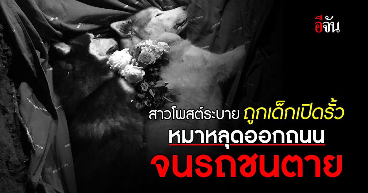 เรื่องปวดหัวใจ! สาวโพสต์ระบาย ถูกเด็กเปิดรั้วจนหมาหลุดออกไปถูกรถชนตาย