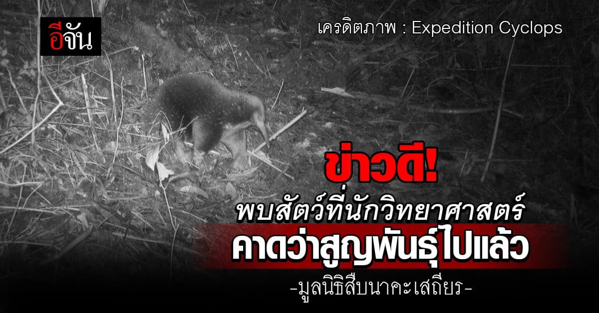 ข่าวดี! พบสัตว์ที่นักวิทยาศาสตร์ คาดว่าสูญพันธุ์ไปแล้ว