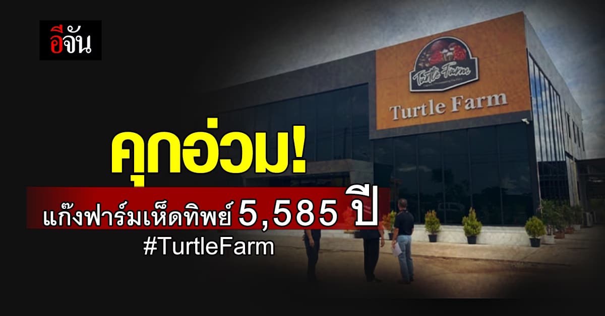 แก๊งฟาร์มเห็ดทิพย์ไม่รอด! โดนคุกอื้อ ชดใช้อีก 600 กว่าล้าน