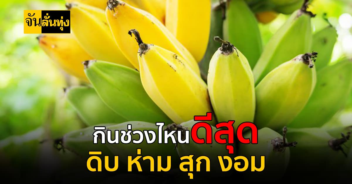 กินมาตั้งนานก็พึ่งจะรู้!! กล้วยแต่ละช่วงมีคุณสมบัติที่แตกต่างกันออกไป