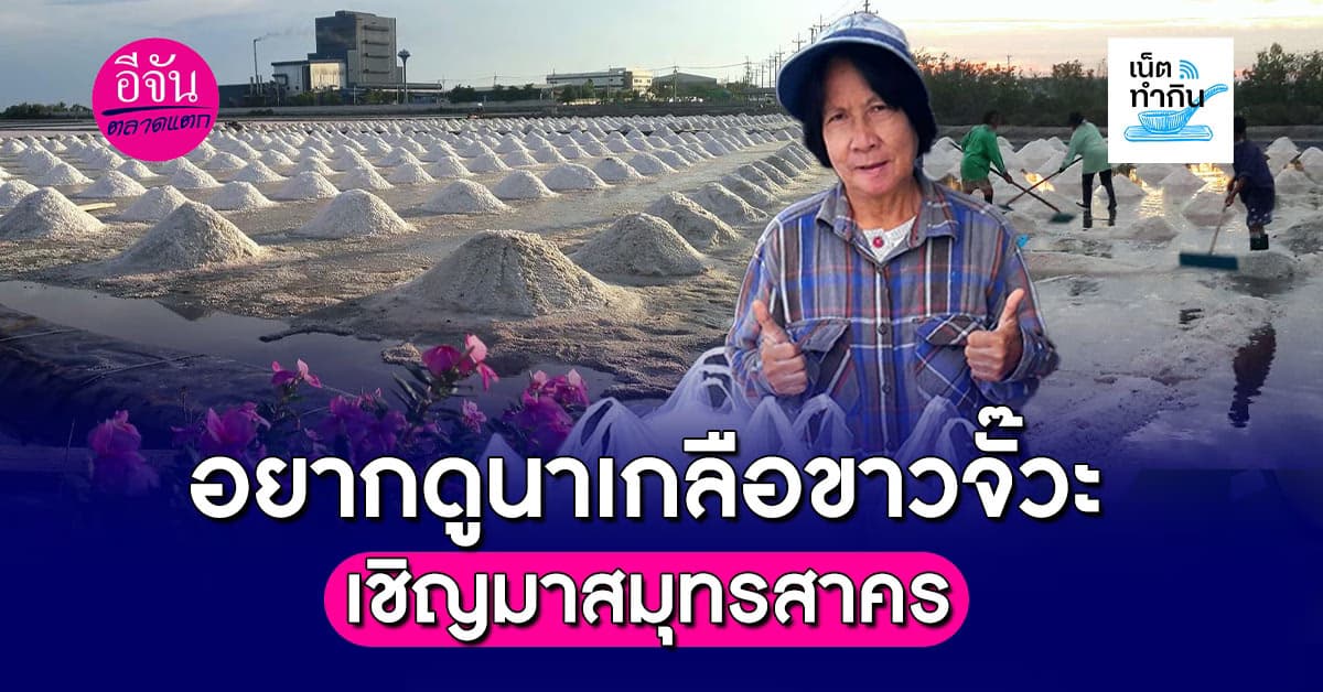 อยากดูนาเกลือขาวจั๊วะ เชิญมา จ.สมุทรสาคร
