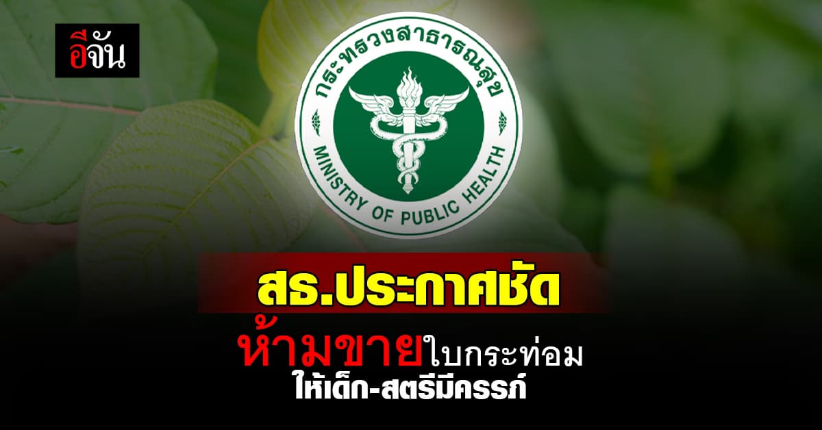 สธ. ประกาศชัด ห้ามขายใบกระท่อมให้สตรีมีครรภ์-เด็กต่ำกว่า 18 ปี