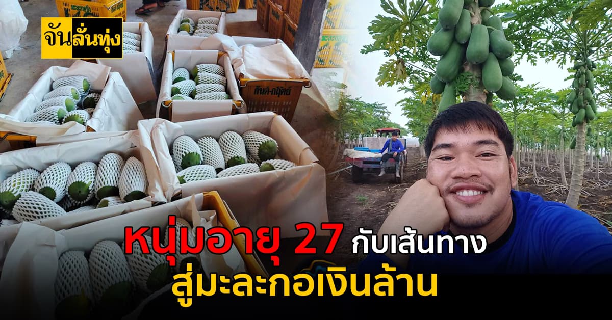 ปลูกมะละกอฮอลแลนด์สร้างเงินเป็นล้าน ๆ ต่อปีพร้อมแนะนำแนวทางในการเริ่มต้น