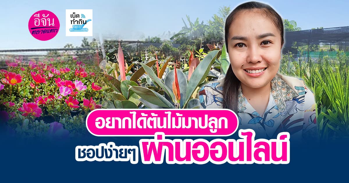 อยากซื้อต้นไม้มาปลูก ชอปง่ายๆ ผ่านเฟซบุ๊ก