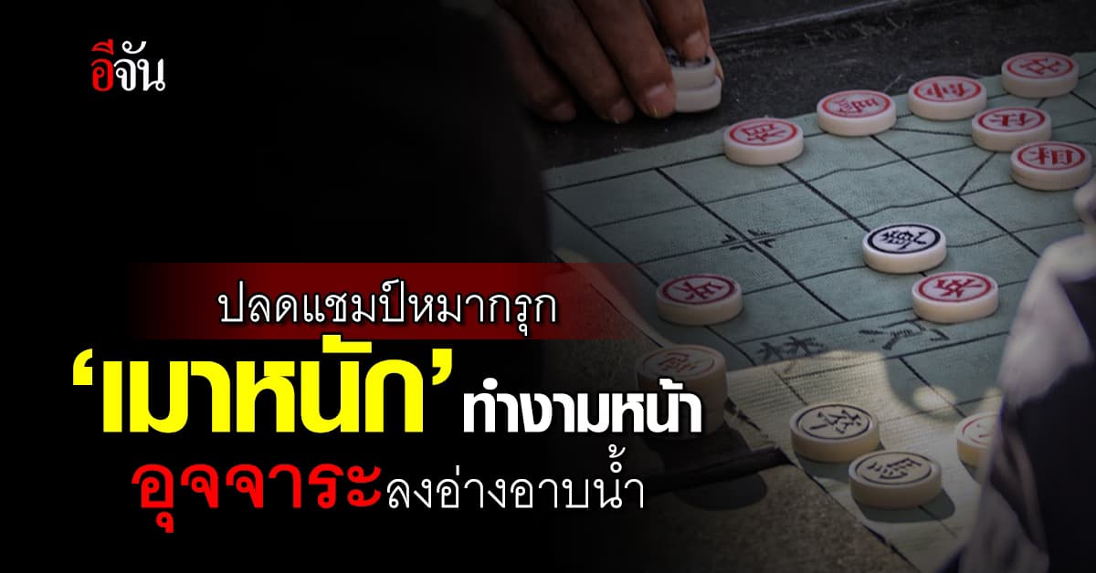 ปลดแชมป์หมากรุกจีน ทำงามหน้า เมาหนัก อึลงอ่างอาบน้ำ