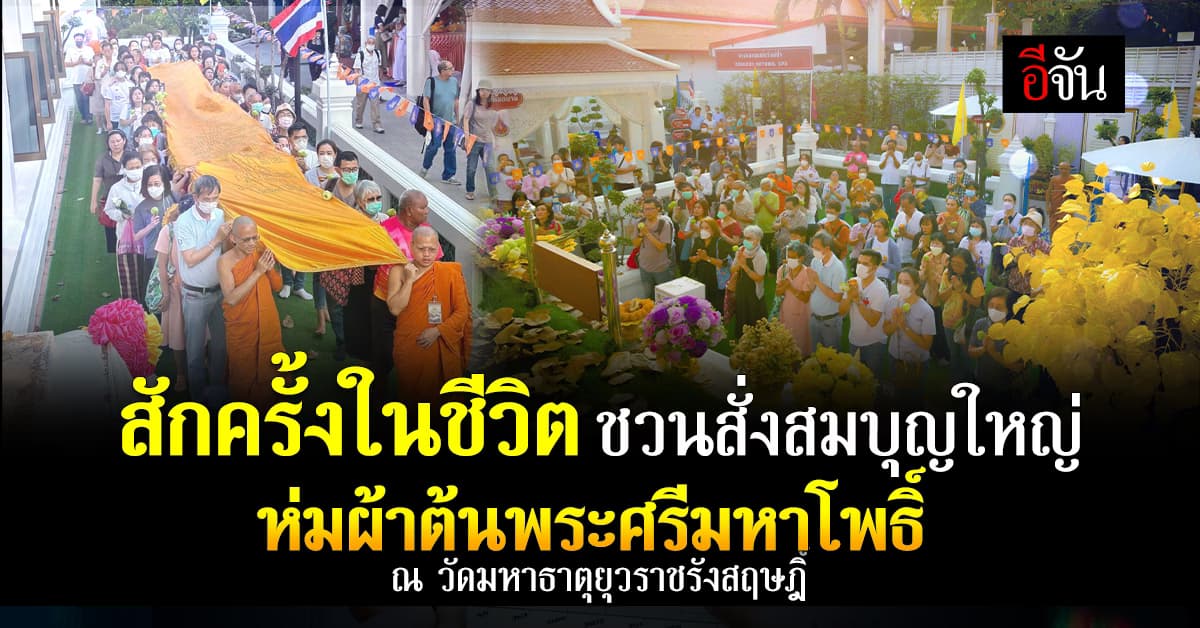 ชวนห่มผ้า ต้นพระศรีมหาโพธิ์ ณ วัดมหาธาตุยุวราชรังสฤษฎิ์