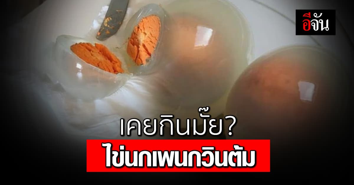 ไข่นกเพนกวินต้ม! เนื้อไข่ขาวใสเหมือนวุ้น เพราะอะไร?