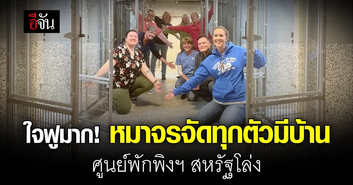 ใจฟูมาก! ครั้งแรกในรอบ 47 ปี หมาจรจัดทุกตัวที่ศูนย์พักพิงสุนัขจรจัดสหรัฐฯ มีบ้านอยู่