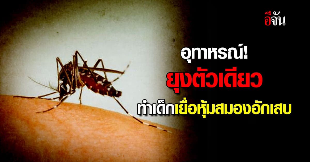 แม่โพสต์อุทาหรณ์! ยุงตัวเดียวทำลูกเยื่อหุ้มสมองอักเสบ