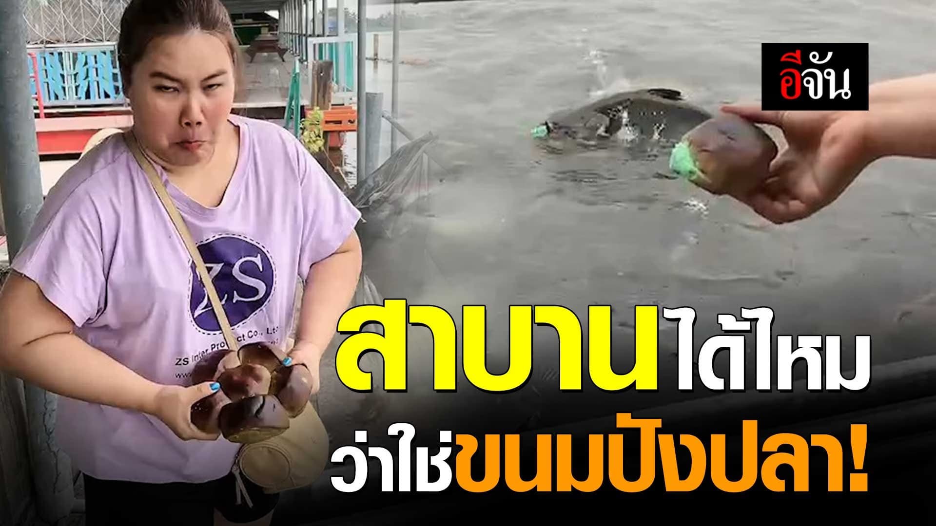 🎬 สาบานได้ไหม ว่าใช่ขนมปังปลา!