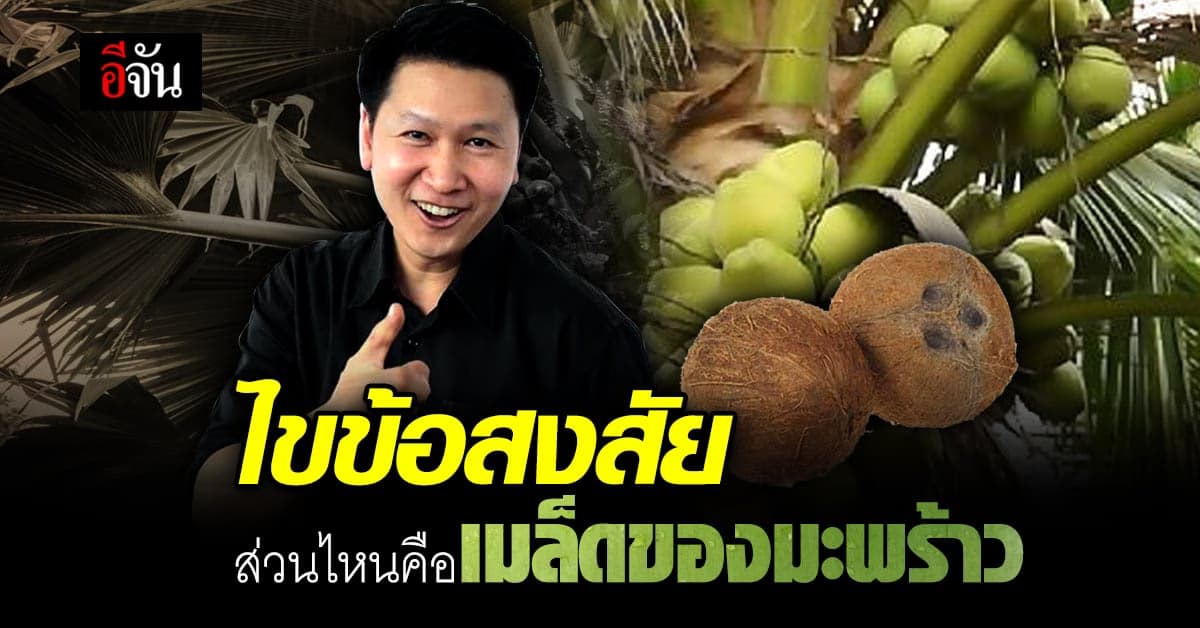 เกินคาด! อ.เจษฎ์ ไขข้อสงสัย ส่วนไหนคือเมล็ดของมะพร้าว?