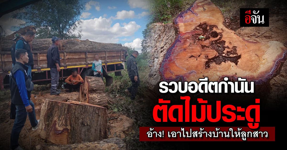 ซุ่มจับ อดีตกำนัน ตัดไม้ประดู่ ส่งขายนายทุนจีน