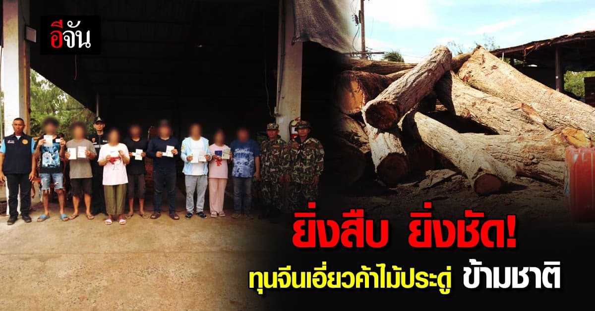 พญาเสือ เชื่อ! โรงงานแปรรูปไม้ มีนายทุนจีนอยู่เบื้องหลัง