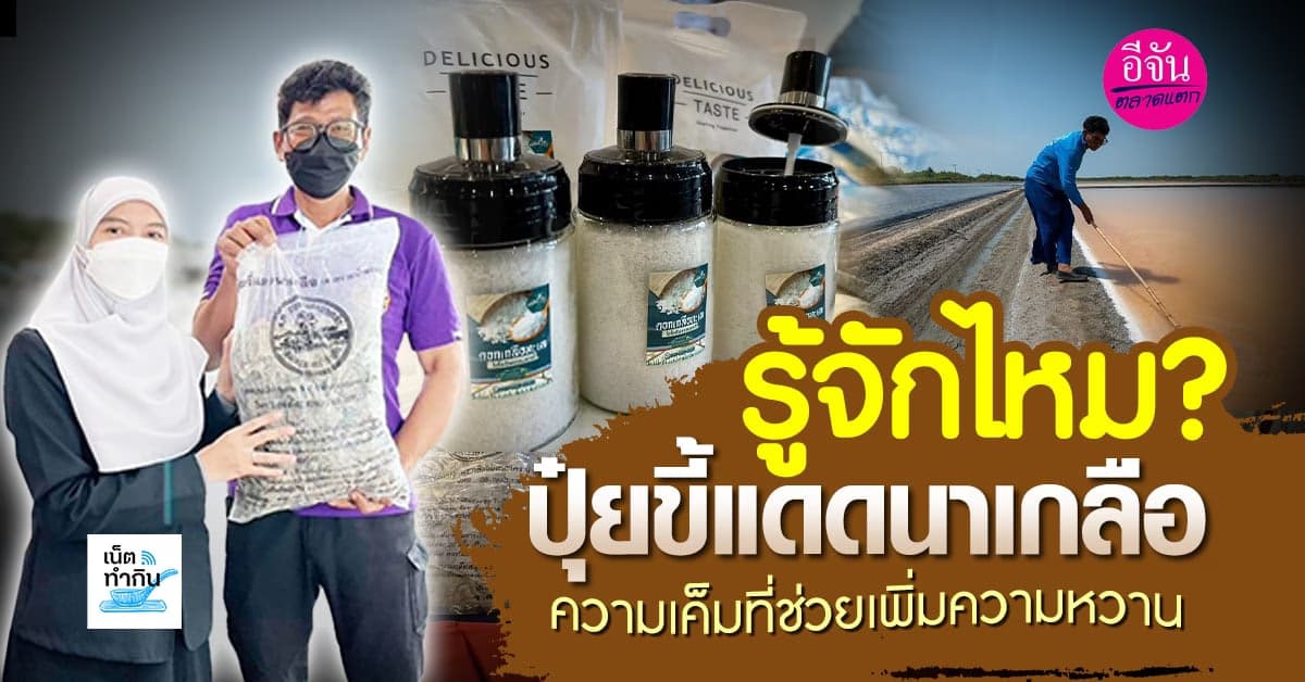 รู้จักไหม? ปุ๋ยขี้แดดนาเกลือวัตถุดิบที่มีเฉพาะนาเกลือ