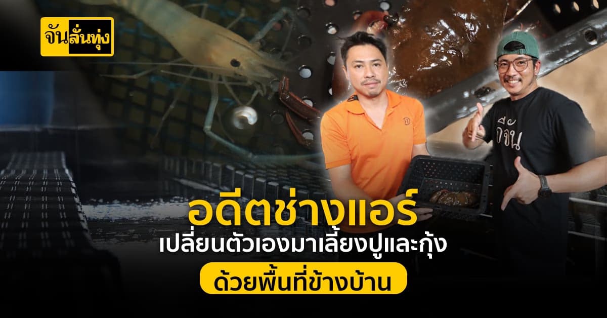 อดีตช่างแอร์ผันตัวไปเลี้ยงปูทะเลทำเงินกว่า 4,000 บาทต่อสัปดาห์