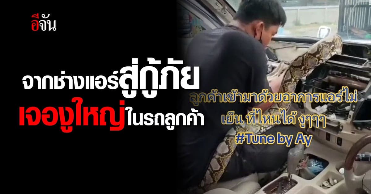 จากช่างแอร์สู่กู้ภัย เจองูตัวใหญ่ในช่องแอร์รถลูกค้า