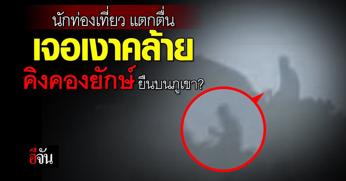 นักท่องเที่ยว ฮือฮา! ถ่ายติดเงา คล้ายคิงคองยักษ์ บนภูเขา
