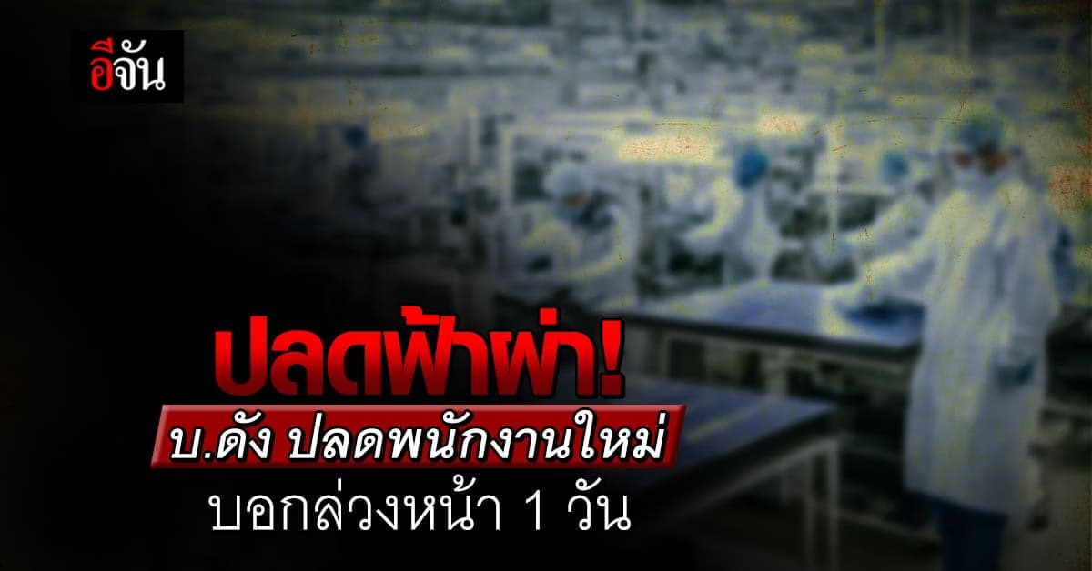 ปลดฟ้าผ่า! บ.ดัง ปลดพนักงานใหม่ บอกล่วงหน้า 1 วัน