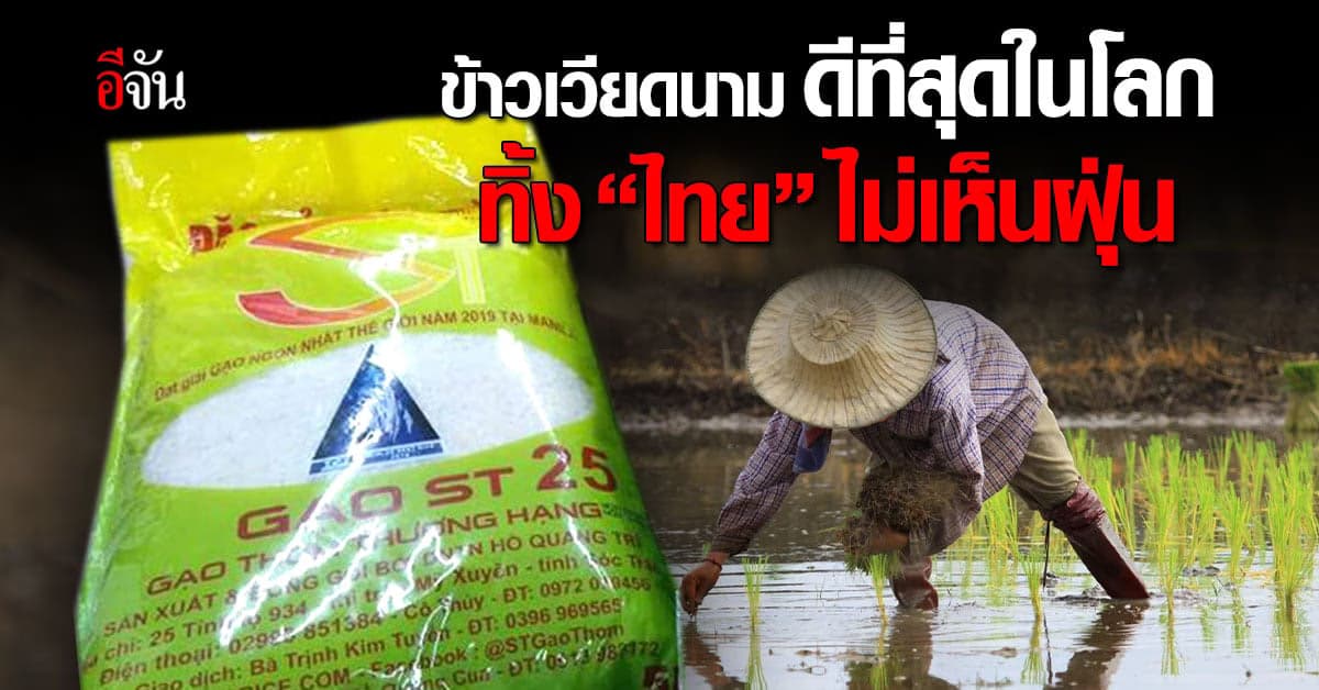 ข้าวเวียดนาม อร่อย! ขึ้นแท่น ข้าวดีสุดในโลกทิ้งห่างข้าวไทยไม่เห็นฝุ่น