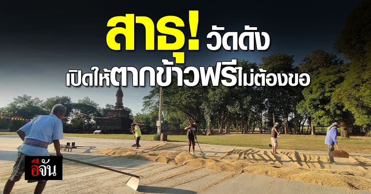 สาธุ! เจ้าอาวาสเปิดลานวัดให้ตากข้าวฟรี ไม่ต้องขออนุญาต