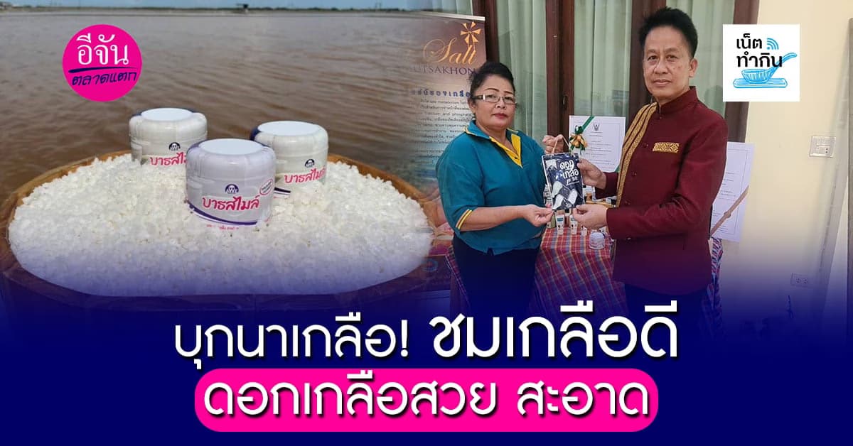 บุกสมุทรสาคร! ชมนาเกลือ เกลือดีได้มาตรฐาน