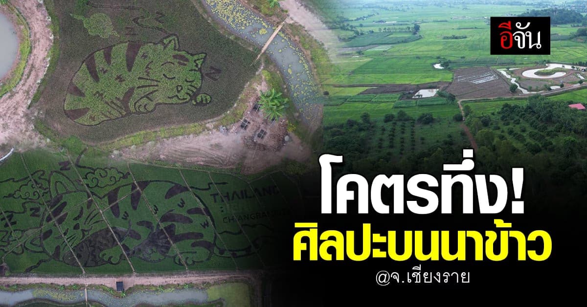 โคตรทึ่ง! ศิลปะบนนาข้าว (Tanbo Art)” จ.เชียงราย