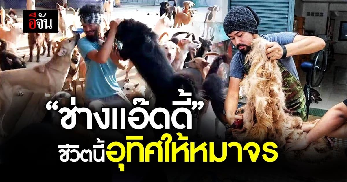 “ช่างแอ๊ดดี้” ฮีโร่ของหมาจร อุทิศชีวิตอาสาตัดขนหมาทั่วประเทศ