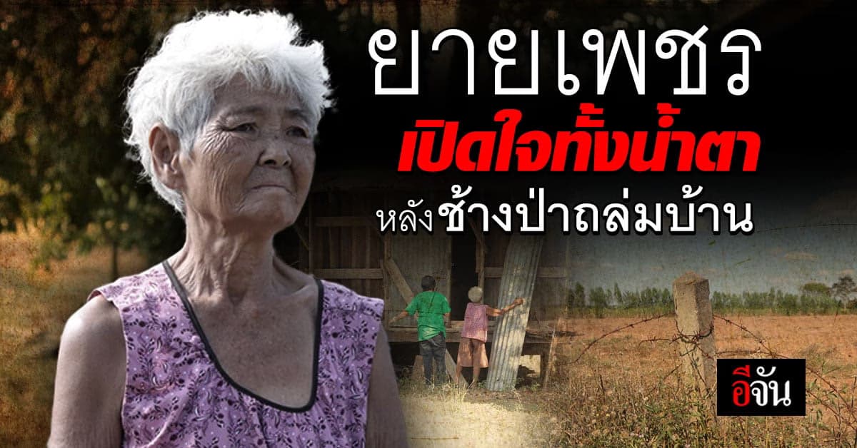 อีจันลงสำรวจไร่อ้อยชาวบ้าน วังท่าช้าง ที่ถูกช้างป่าเขาอ่างฤาไน บุกถล่ม