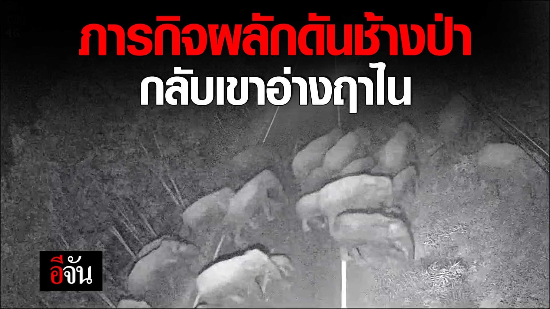 🎬 ภารกิจผลักดัน ช้างป่า เขาอ่างฤาไน กลับบ้าน