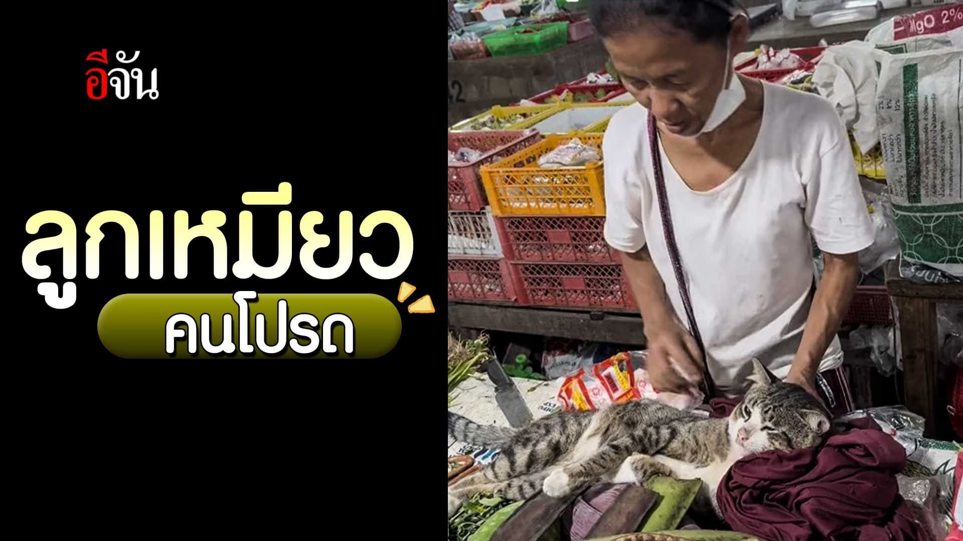 🎬 ลูกคนโปรด…คำนี้ไม่เกินจริง