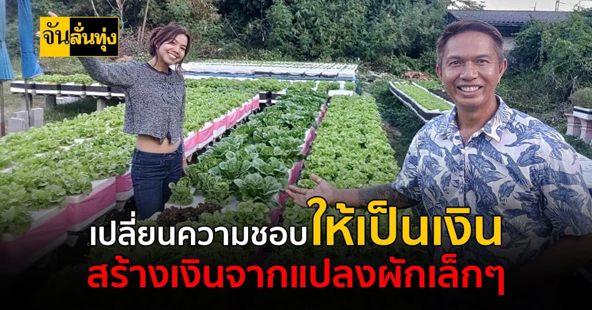 ใช้เวลาว่างให้มีประโยชน์ สร้างความสุขเล็กๆจากปลูกผักในกล่องโฟมขาย