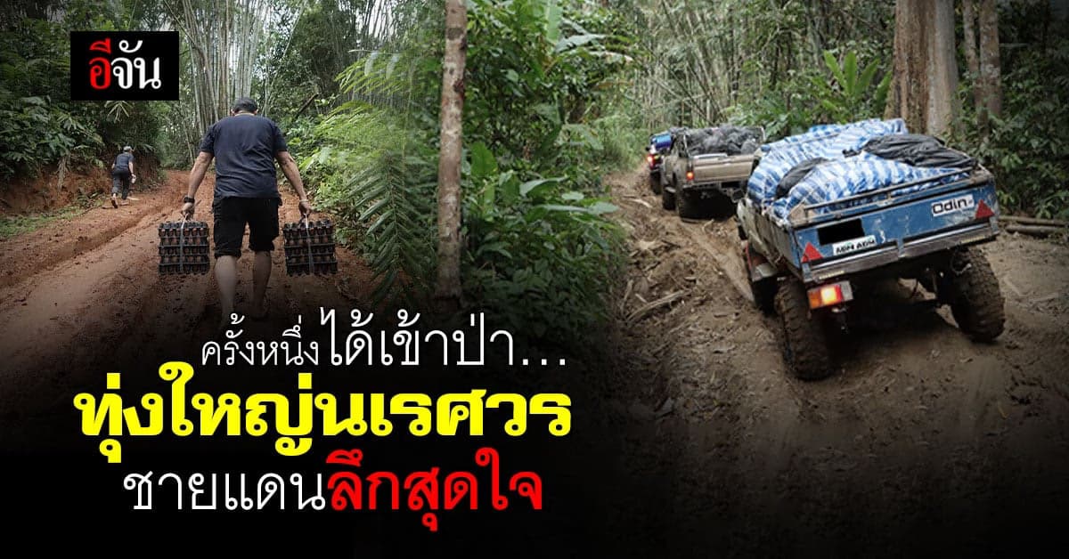 ครั้งหนึ่ง…ได้ลุยผืนป่ามรดกโลก ทุ่งใหญ่นเรศวร ชายแดนที่ลึกสุดใจ