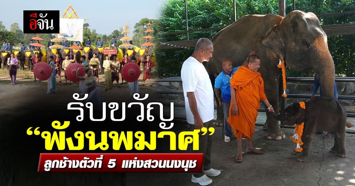 สวนนงนุชพัทยา รับขวัญลูกช้างตัวใหม่ “พังนพมาศ” ส่งท้ายปี 66