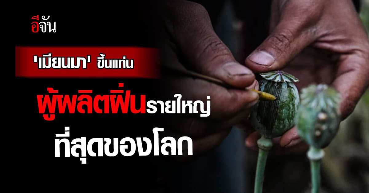 ‘เมียนมา’ มาแรง! แซง อัฟกานิสถาน ขึ้นแท่นผู้ผลิตฝิ่น รายใหญ่สุดของโลก