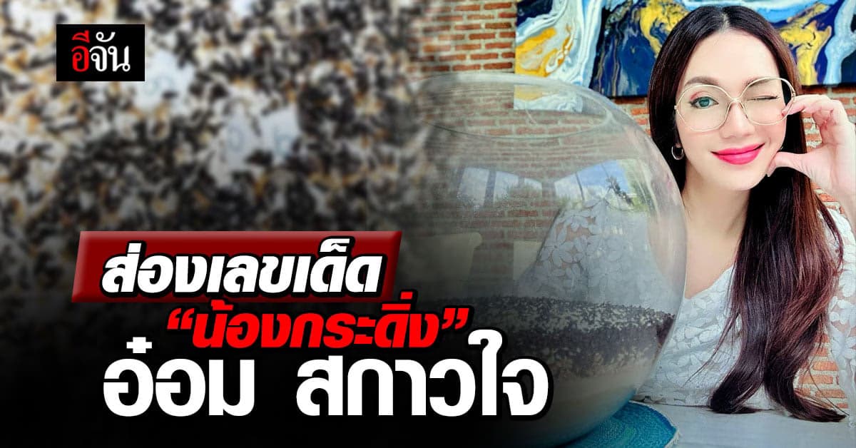 มาแล้ว! เลขเด็ด น้องกระดิ่ง อ๋อม สกาวใจ หวยงวดนี้ 16/12/66 ชัดเจนมาก