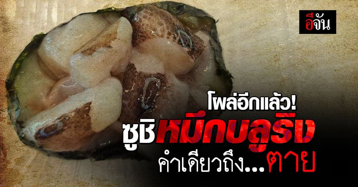 โผล่อีกแล้ว! ซูชิหมึกบลูริง คำเดียวถึงตาย พิษร้ายกว่างูเห่า 20 เท่า