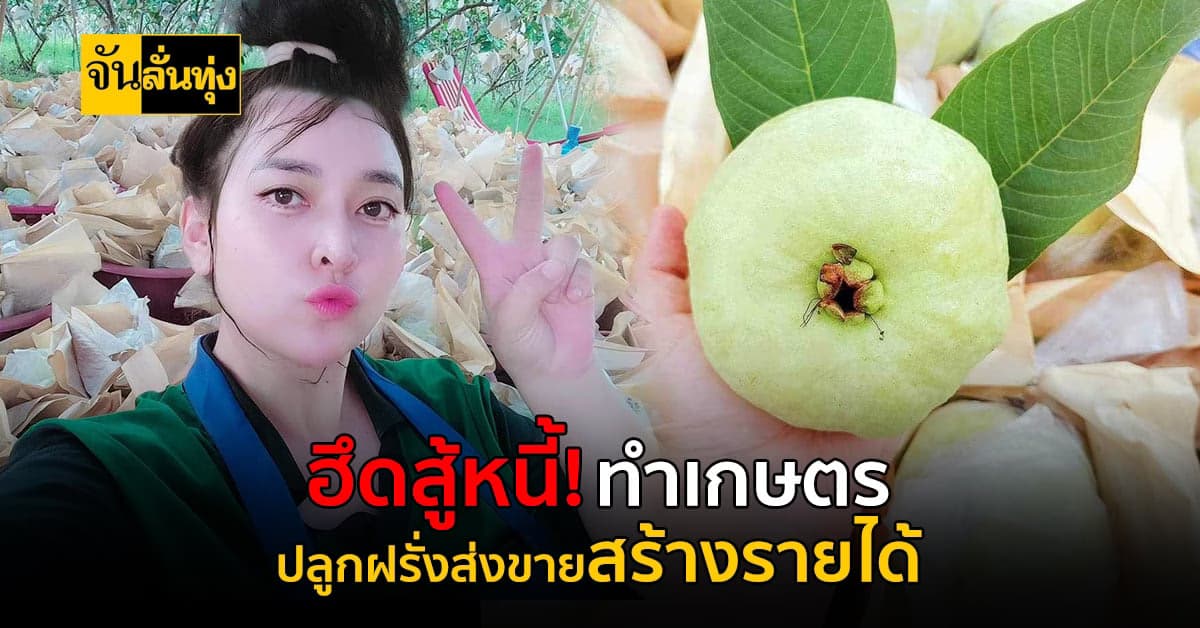 โดนโกงจนเป็นหนี้! ฮึดสู้อีกครั้ง ทำเกษตรปลูกฝรั่งส่งขาย