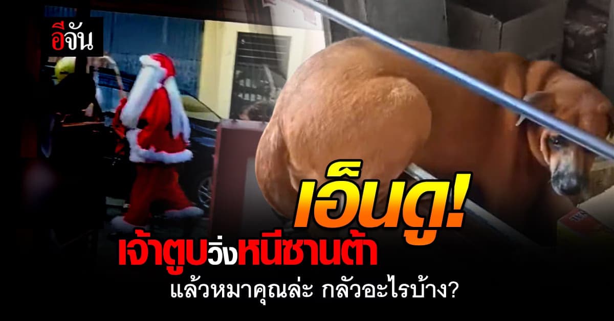 เอ็นดู! ไวรัลน้องหมา กลัว “ซานตาคลอส” เจอปุ๊บวิ่งพรวดเข้าบ้าน