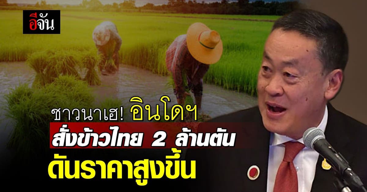 ชาวนาเตรียมเฮ! อินโดฯ สั่งข้าวไทย 2 ล้านตัน คาดทำราคาข้าวสูงขึ้น