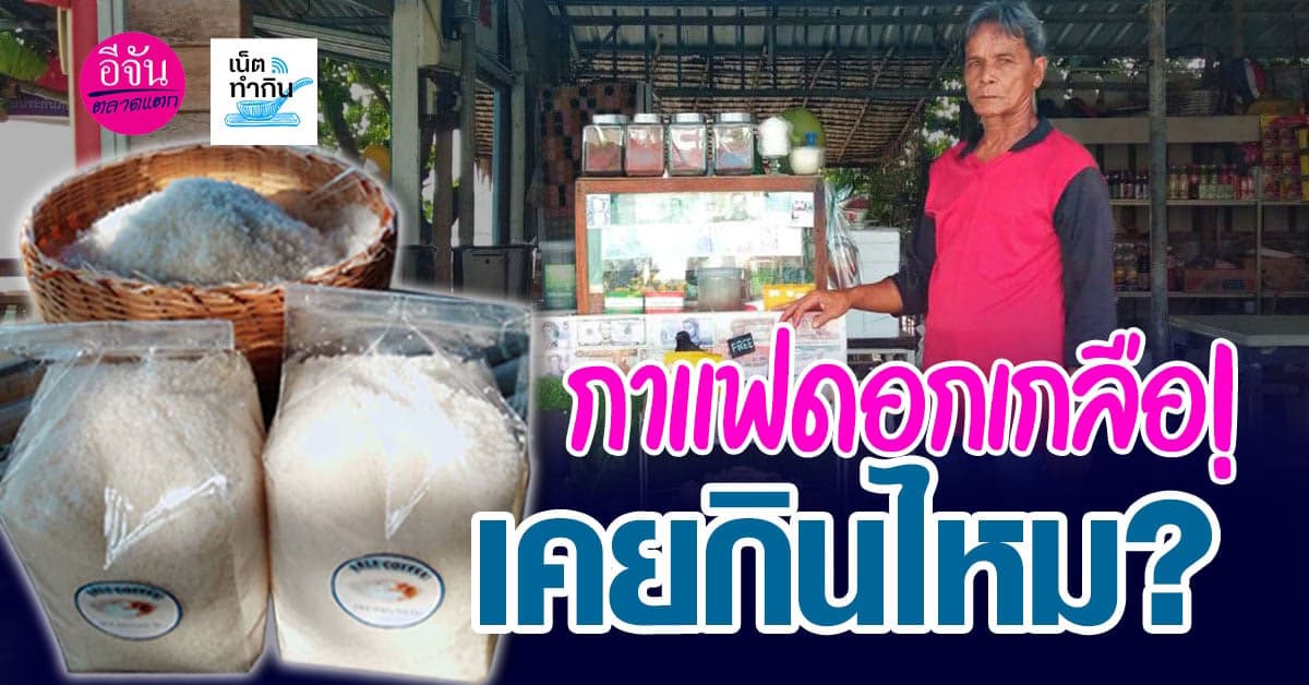 กาแฟดอกเกลือ จ.สมุทรสาคร