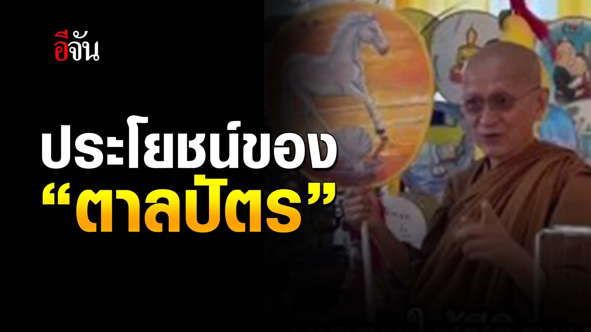 🎬 ประโยชน์ของ “ตาลปัตร”