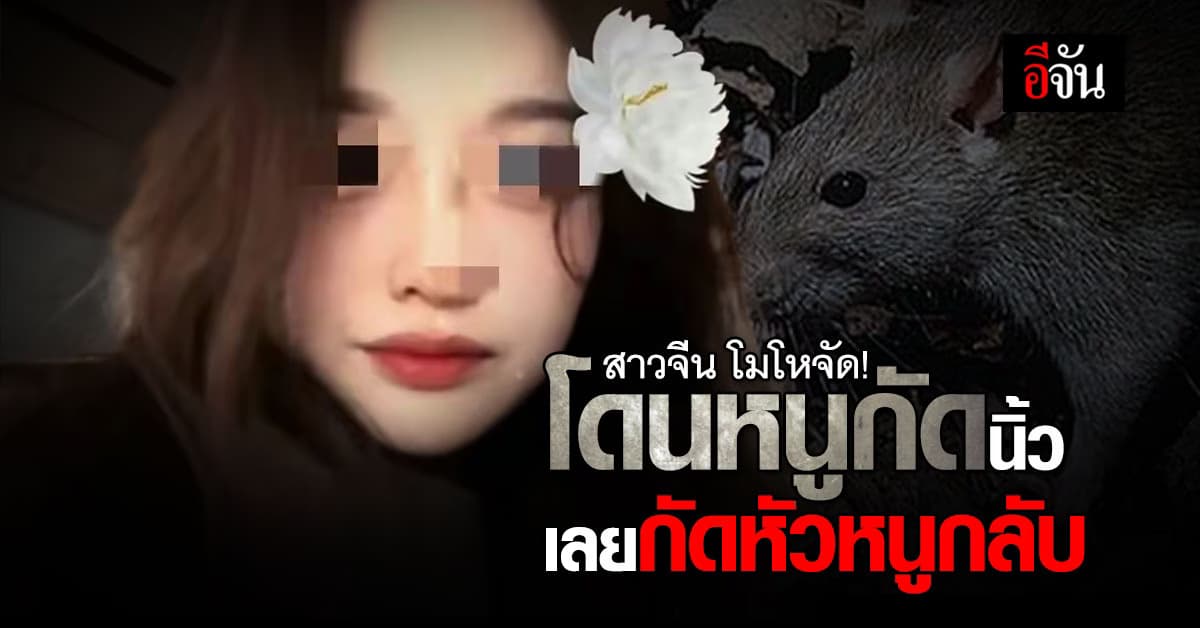 ไม่โกง! สาวจีน โมโหจัด โดนหนูกัดนิ้ว เลยกัดหัวหนูกลับ