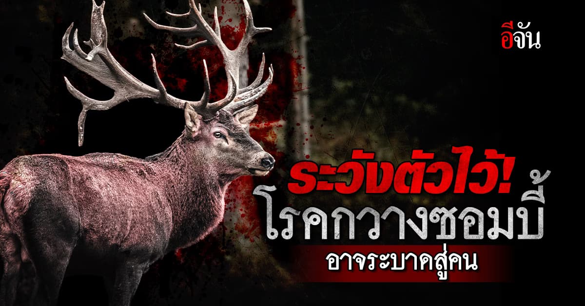 ระวังใกล้ชิด! โรคกวางซอมบี้ อาจระบาดสู่คน แรงระดับหายนะ